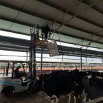 Quạt trang trại HVLS PANEL chuyên thông gió, hút mùi và làm mát trang trại chăn nuôi