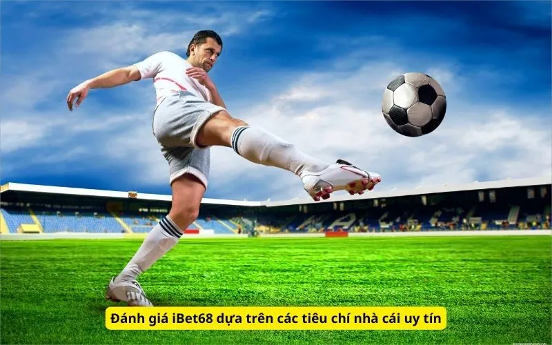 Giấy phép hoạt động
