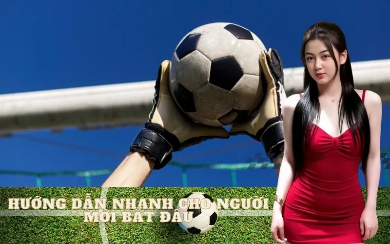Hướng Dẫn Nhanh Cho Người Mới Bắt Đầu
