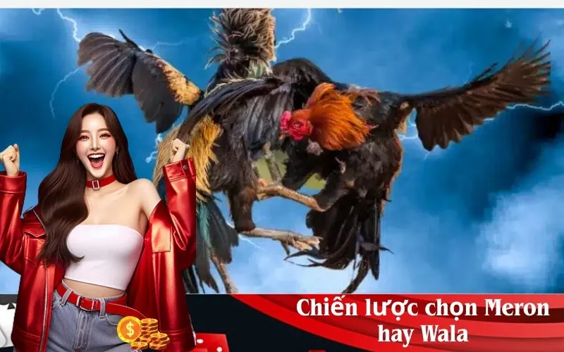 Chiến lược chọn Meron hay Wala