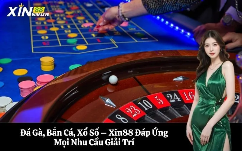 Đá Gà, Bắn Cá, Xổ Số – Xin88 Đáp Ứng Mọi Nhu Cầu Giải Trí