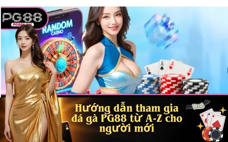Hướng dẫn tham gia đá gà PG88 từ A-Z cho người mới