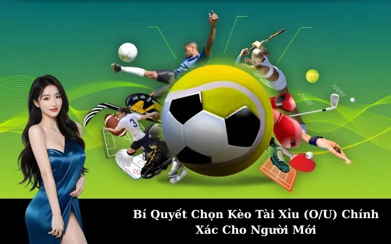 Bí Quyết Chọn Kèo Tài Xỉu (O/U) Chính Xác Cho Người Mới