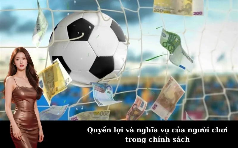 Quyền lợi và nghĩa vụ của người chơi trong chính sách